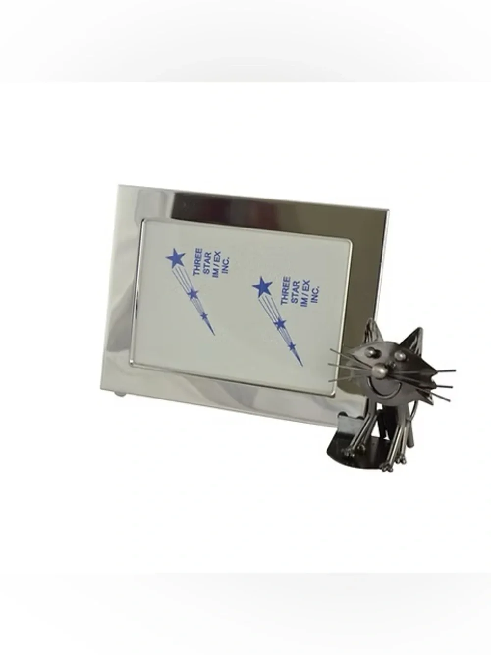 NWT Silver cat frame